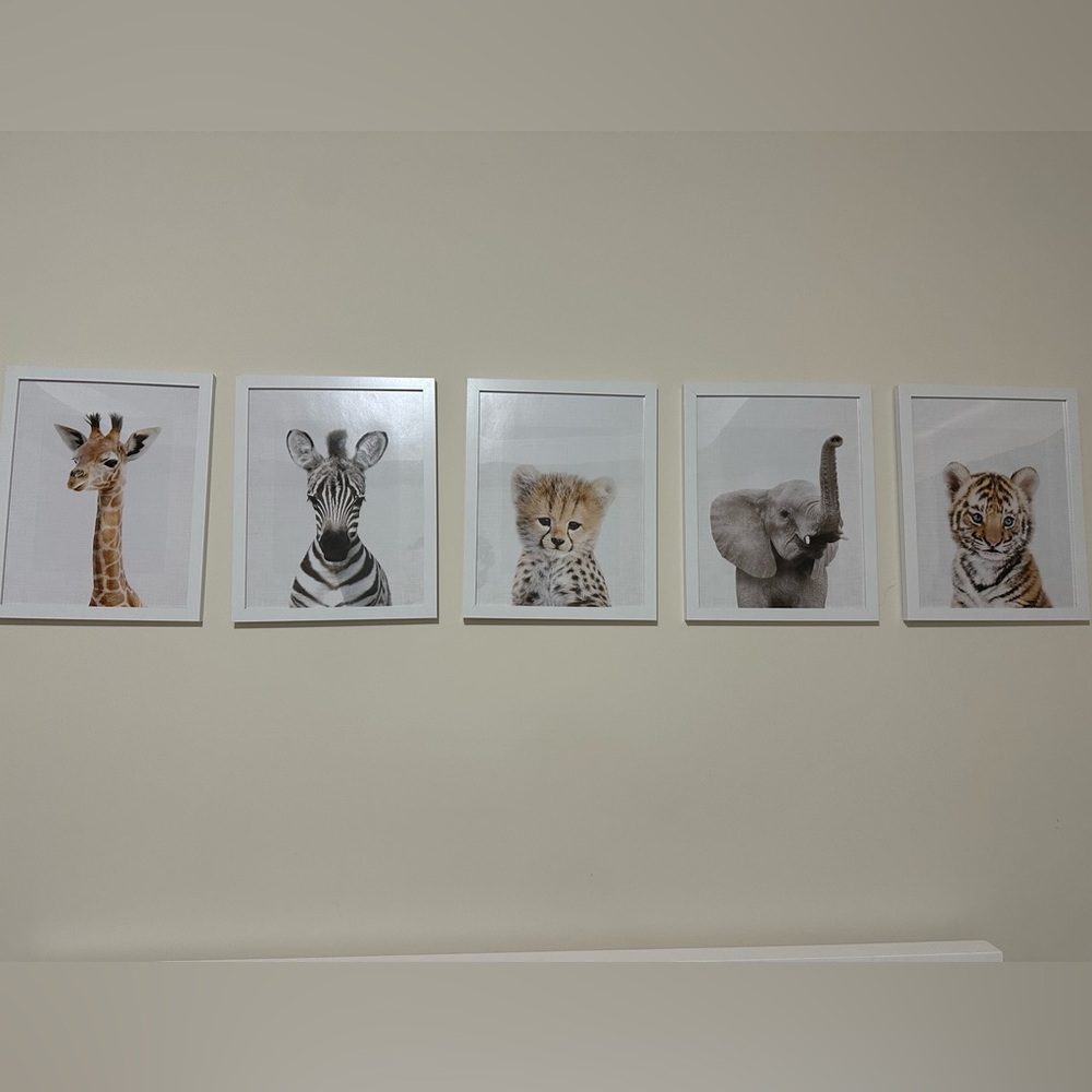 Set of 6 11x16” animal prints for nursery